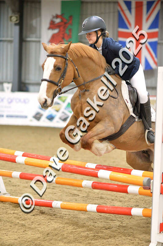 D4N_5840 - NorthcoteSun16thNov'25 Unaff.Jumping AvailableUntil16thDec'25