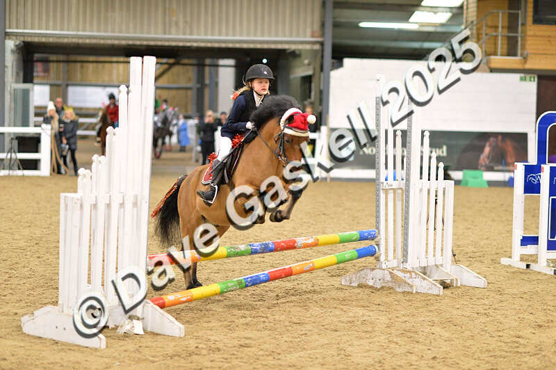 D4N_6782 - NorthcoteSat8thDec'25 XmasShowJumping AvailableUntil6thJan'26