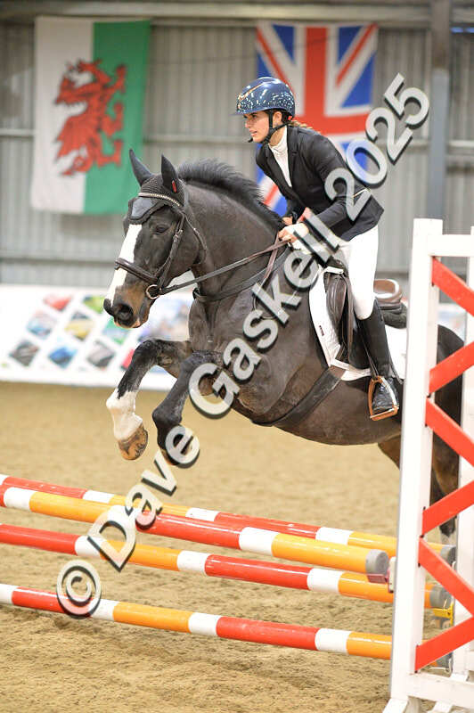 D4N_5777 - NorthcoteSun16thNov'25 Unaff.Jumping AvailableUntil16thDec'25