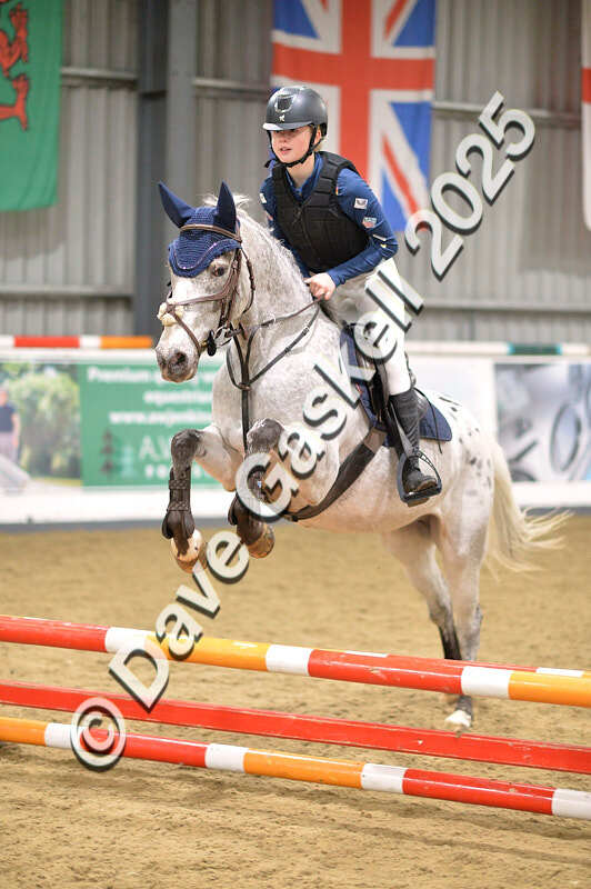 D4N_4973 - NorthcoteSun26thOct'25 Unaff.Jumping AvailableUntil28thNov'25