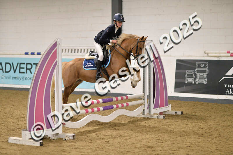 D4N_4978 - NorthcoteSun26thOct'25 Unaff.Jumping AvailableUntil28thNov'25