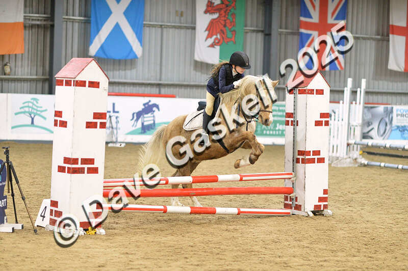 D4N_5661 - NorthcoteSun16thNov'25 Unaff.Jumping AvailableUntil16thDec'25