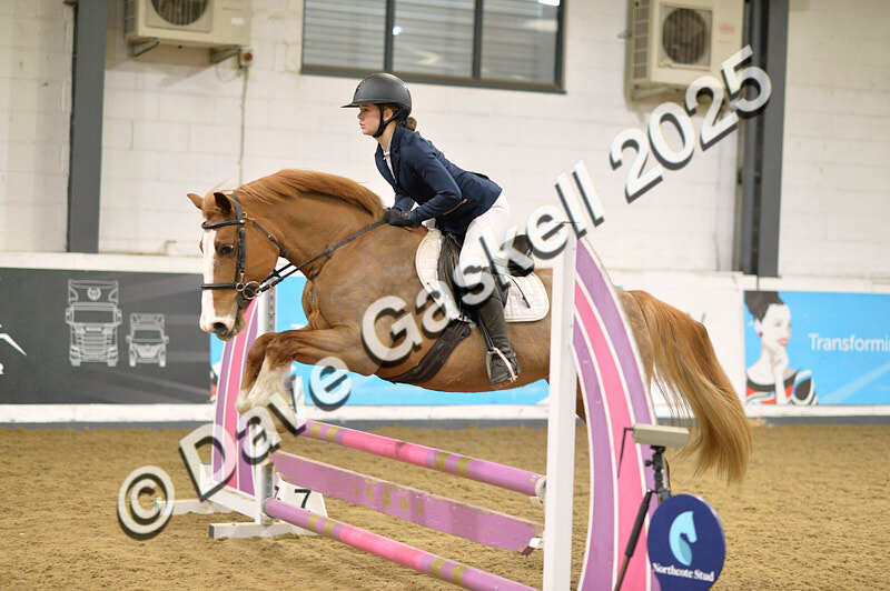 D4N_5745 - NorthcoteSun16thNov'25 Unaff.Jumping AvailableUntil16thDec'25