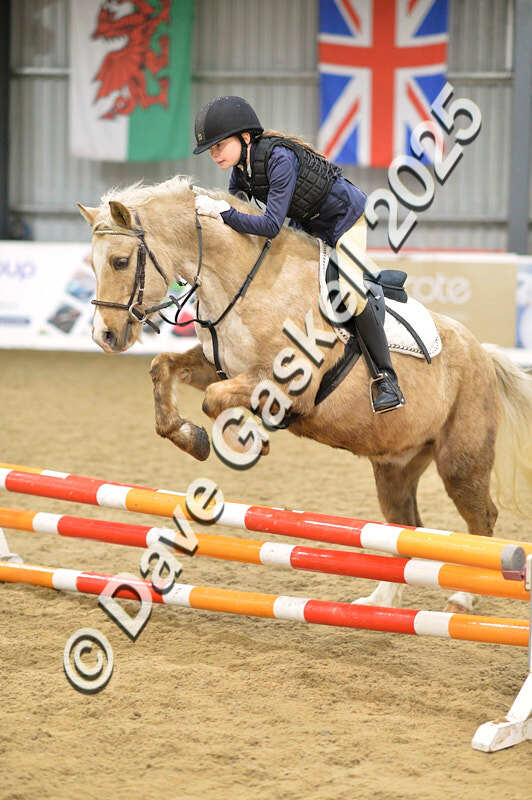 D4N_5660 - NorthcoteSun16thNov'25 Unaff.Jumping AvailableUntil16thDec'25