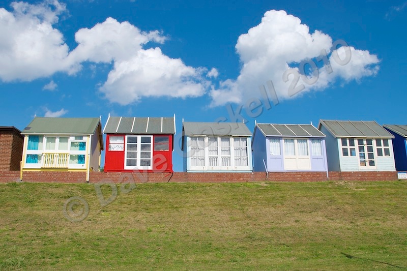 DSC_4464 - Sandilands