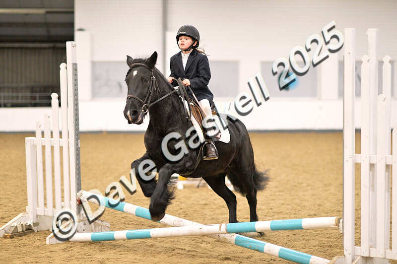 D4N_4592 - NorthcoteSun26thOct'25 Unaff.Jumping AvailableUntil28thNov'25