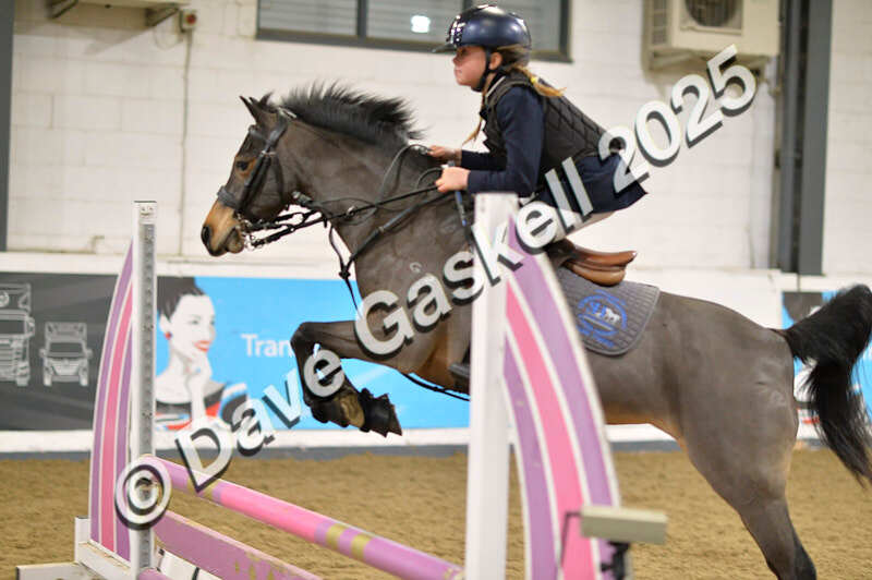 D4N_5810 - NorthcoteSun16thNov'25 Unaff.Jumping AvailableUntil16thDec'25