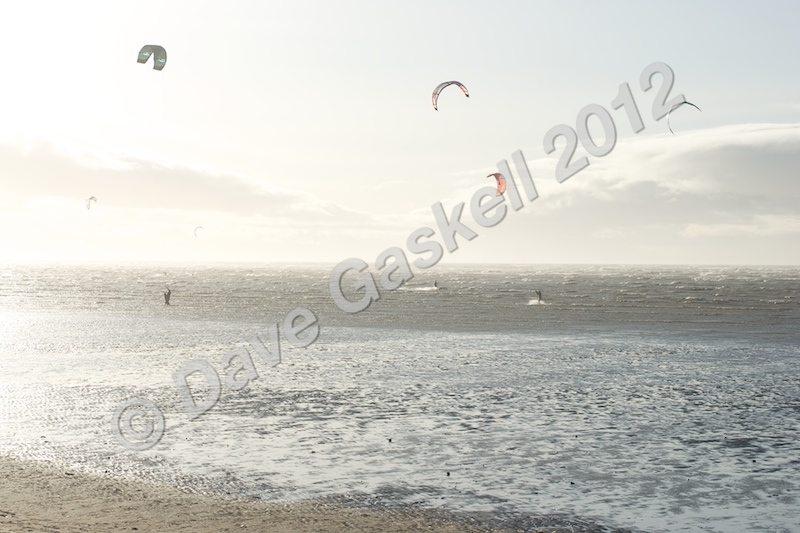 DSC_7965 - Beach & Surf Scenes