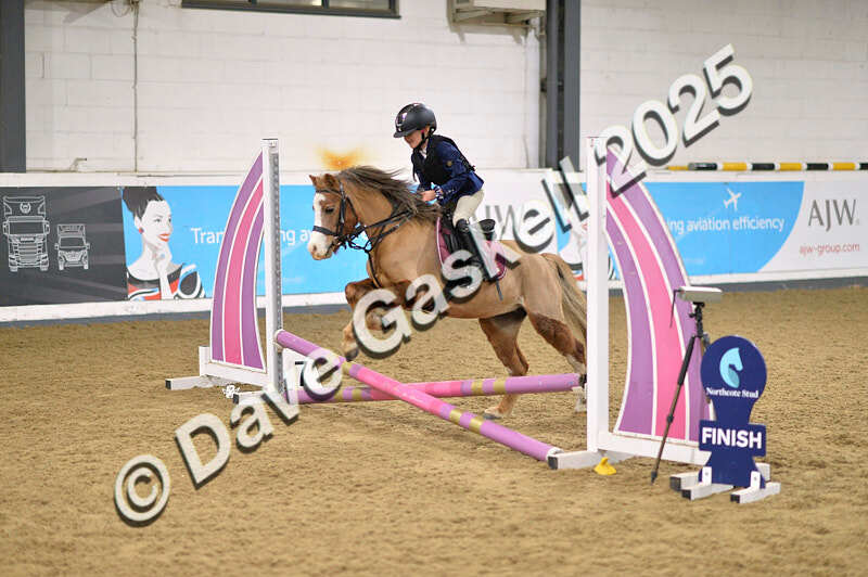 D4N_5508 - NorthcoteSun16thNov'25 Unaff.Jumping AvailableUntil16thDec'25