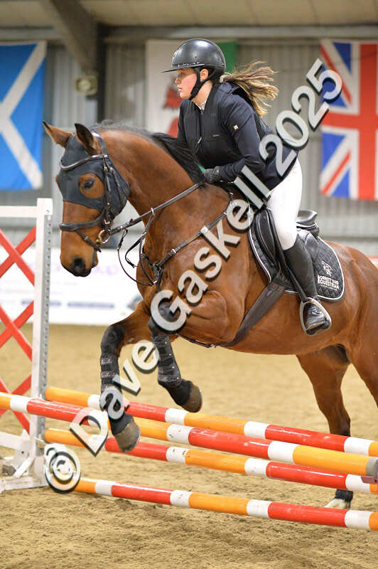 D4N_6193 - NorthcoteSun16thNov'25 Unaff.Jumping AvailableUntil16thDec'25