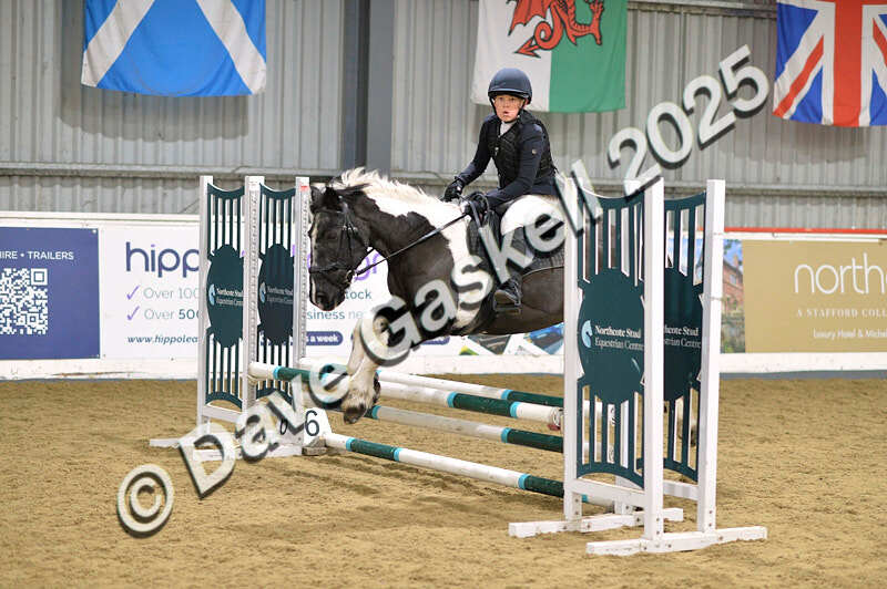 D4N_5668 - NorthcoteSun16thNov'25 Unaff.Jumping AvailableUntil16thDec'25