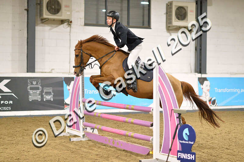 D4N_6477 - NorthcoteSun16thNov'25 Unaff.Jumping AvailableUntil16thDec'25