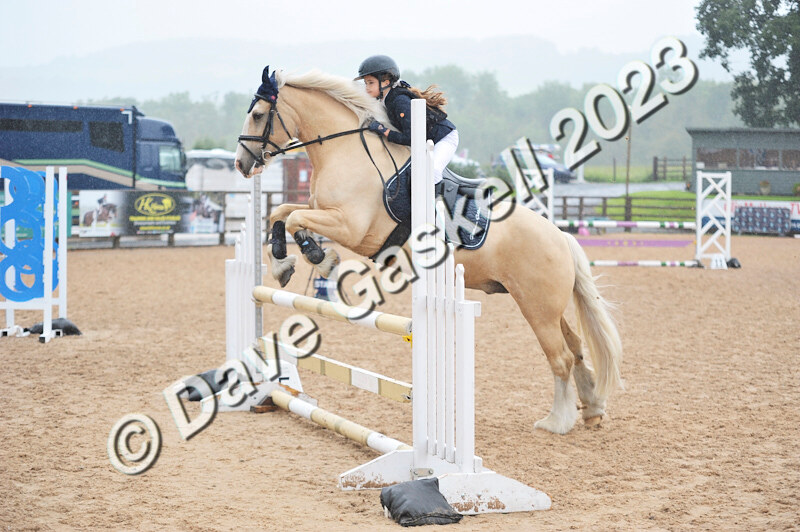 D8D_7416 - Juniors