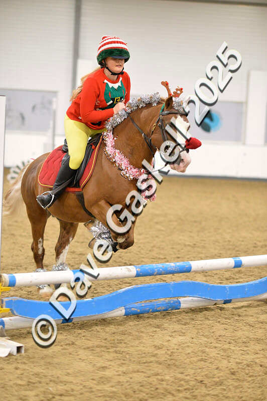 D4N_7101 - NorthcoteSat8thDec'25 XmasShowJumping AvailableUntil6thJan'26