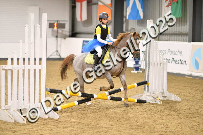 D4N_4837 - NorthcoteSun26thOct'25 Unaff.Jumping AvailableUntil28thNov'25