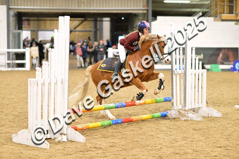 D4N_6656 - NorthcoteSat8thDec'25 XmasShowJumping AvailableUntil6thJan'26