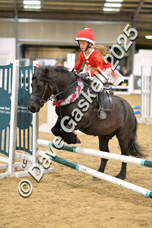 D4N_6755 - NorthcoteSat8thDec'25 XmasShowJumping AvailableUntil6thJan'26