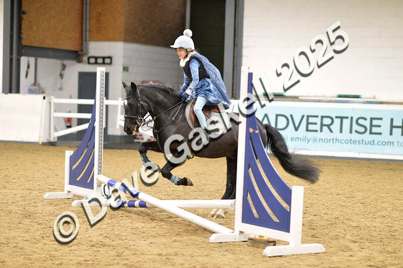 D4N_6613 - NorthcoteSat8thDec'25 XmasShowJumping AvailableUntil6thJan'26