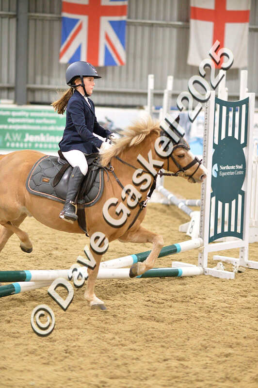 D4N_6595 - NorthcoteSat8thDec'25 XmasShowJumping AvailableUntil6thJan'26