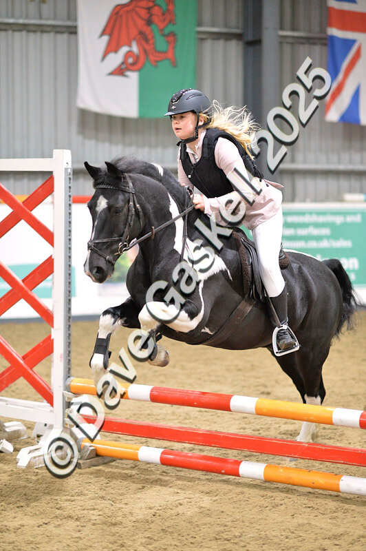 D4N_4872 - NorthcoteSun26thOct'25 Unaff.Jumping AvailableUntil28thNov'25