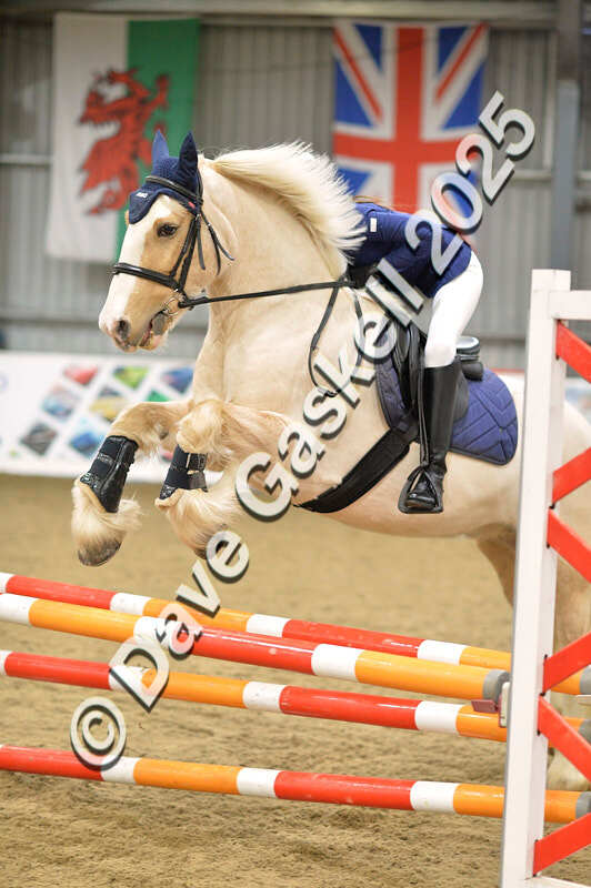 D4N_5873 - NorthcoteSun16thNov'25 Unaff.Jumping AvailableUntil16thDec'25