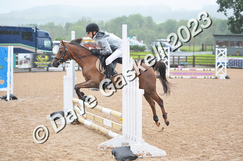 D8D_7151 - Juniors