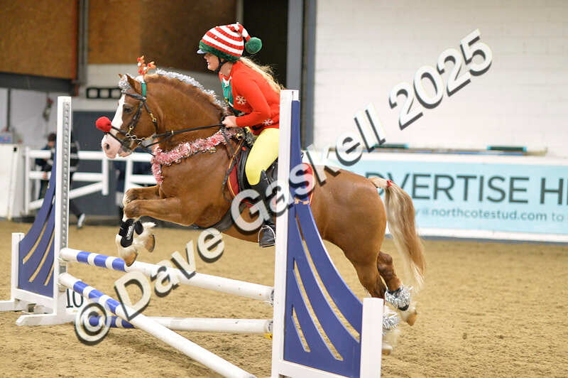 D4N_7117 - NorthcoteSat8thDec'25 XmasShowJumping AvailableUntil6thJan'26