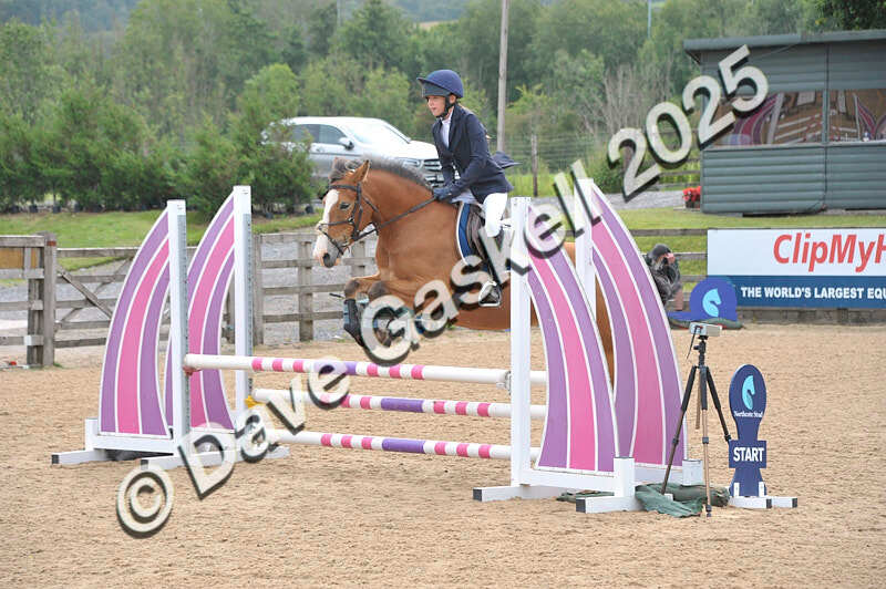 D8F_3501 - NorthcoteSat9thAug'25 Unaff.ShowJumping AvailableUntil9thSept25