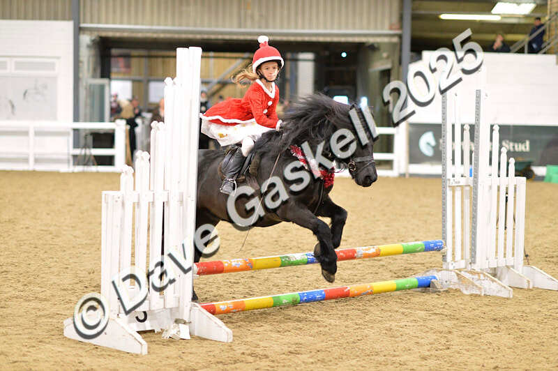 D4N_6716 - NorthcoteSat8thDec'25 XmasShowJumping AvailableUntil6thJan'26