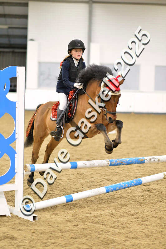 D4N_6785 - NorthcoteSat8thDec'25 XmasShowJumping AvailableUntil6thJan'26