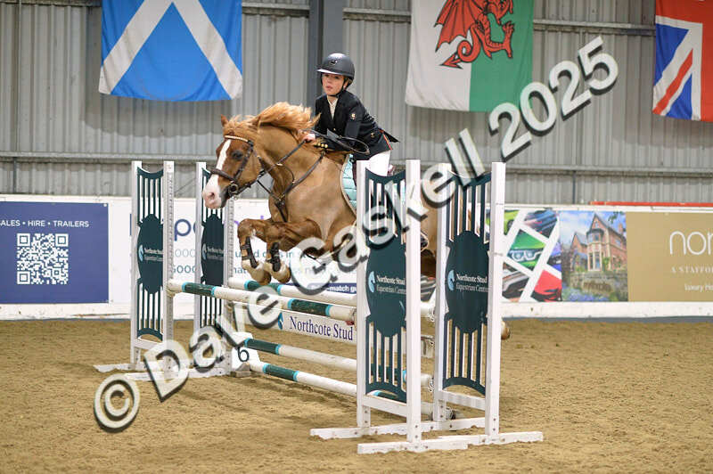 D4N_5836 - NorthcoteSun16thNov'25 Unaff.Jumping AvailableUntil16thDec'25