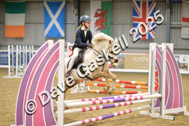 D4N_5646 - NorthcoteSun16thNov'25 Unaff.Jumping AvailableUntil16thDec'25