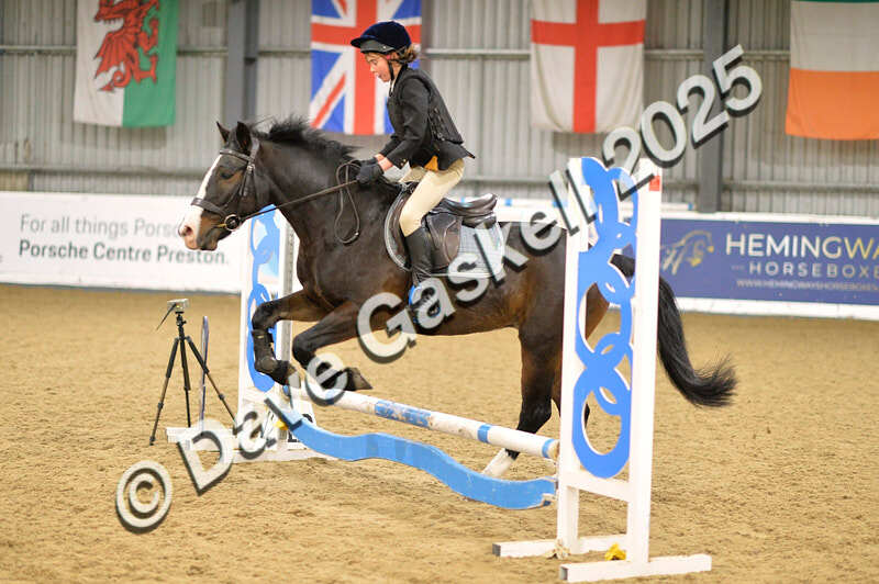 D4N_5576 - NorthcoteSun16thNov'25 Unaff.Jumping AvailableUntil16thDec'25