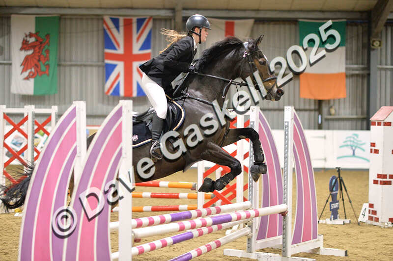 D4N_6211 - NorthcoteSun16thNov'25 Unaff.Jumping AvailableUntil16thDec'25