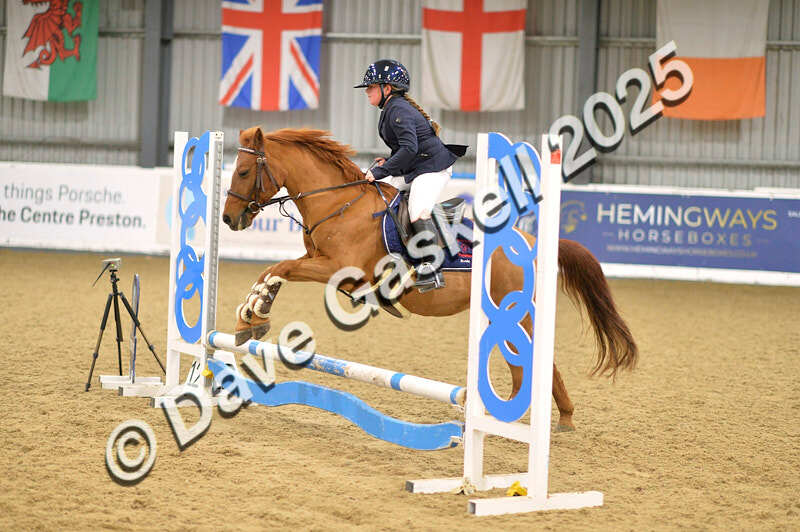 D4N_5569 - NorthcoteSun16thNov'25 Unaff.Jumping AvailableUntil16thDec'25