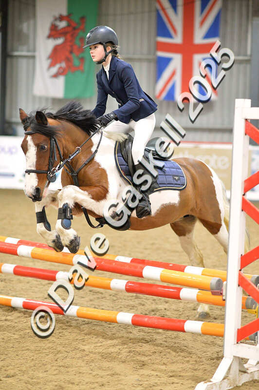 D4N_5730 - NorthcoteSun16thNov'25 Unaff.Jumping AvailableUntil16thDec'25