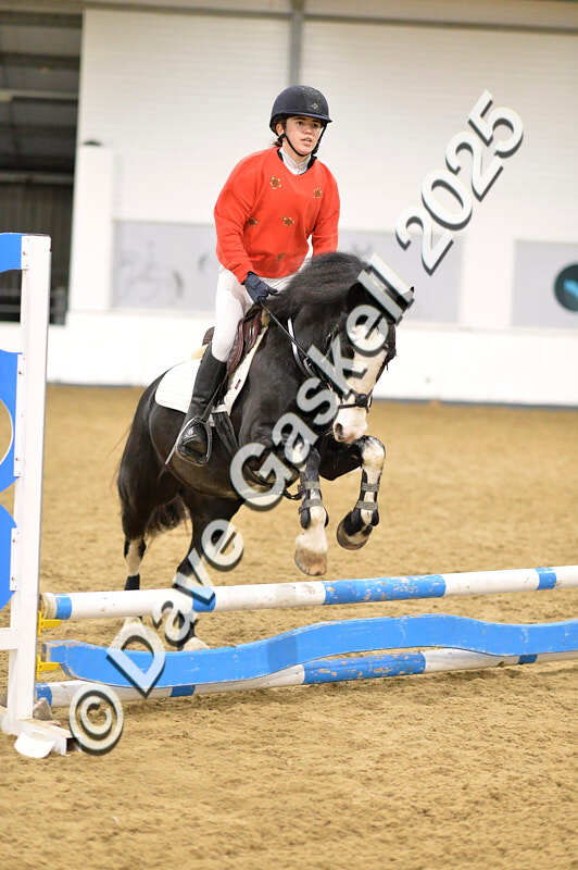 D4N_7094 - NorthcoteSat8thDec'25 XmasShowJumping AvailableUntil6thJan'26