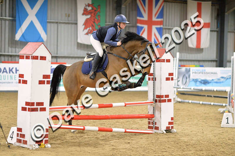 D4N_6068 - NorthcoteSun16thNov'25 Unaff.Jumping AvailableUntil16thDec'25