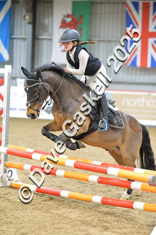 D4N_5684 - NorthcoteSun16thNov'25 Unaff.Jumping AvailableUntil16thDec'25