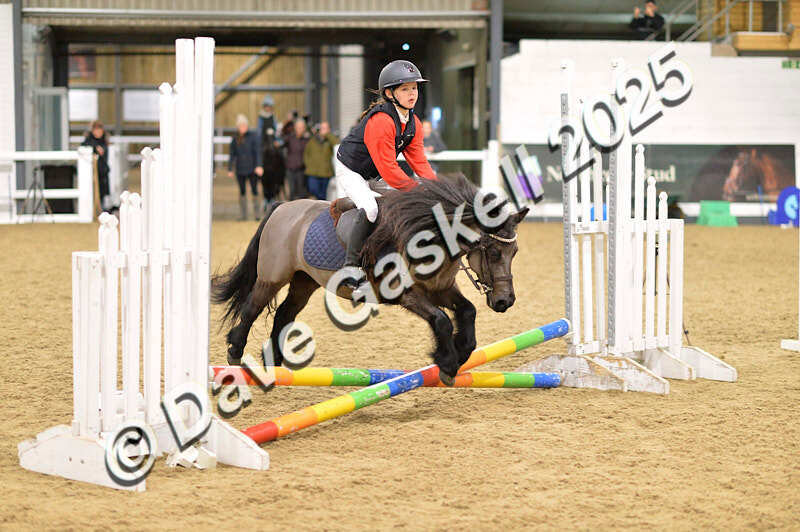 D4N_6602 - NorthcoteSat8thDec'25 XmasShowJumping AvailableUntil6thJan'26