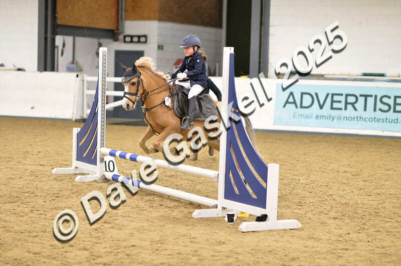 D4N_6688 - NorthcoteSat8thDec'25 XmasShowJumping AvailableUntil6thJan'26