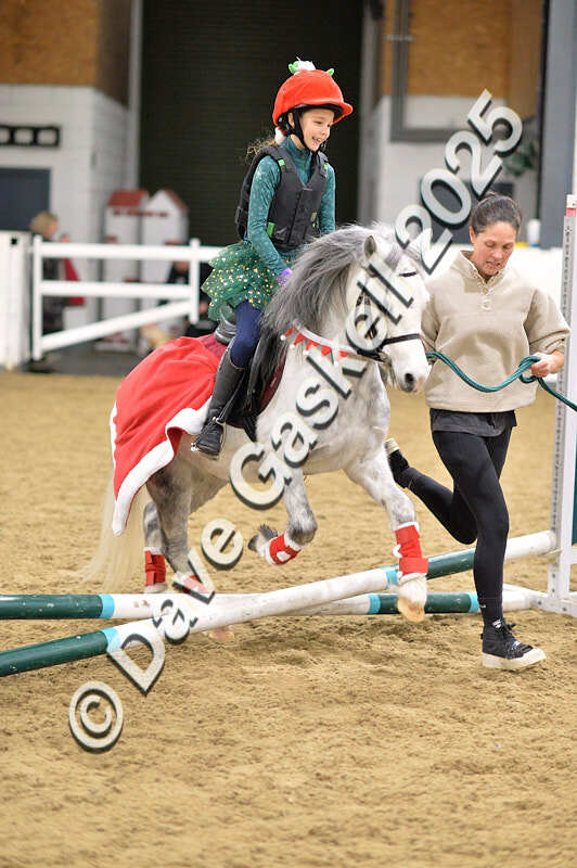 D4N_6585 - NorthcoteSat8thDec'25 XmasShowJumping AvailableUntil6thJan'26