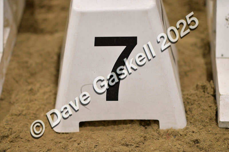 D4N_5202 - NorthcoteSun26thOct'25 Unaff.Jumping AvailableUntil28thNov'25