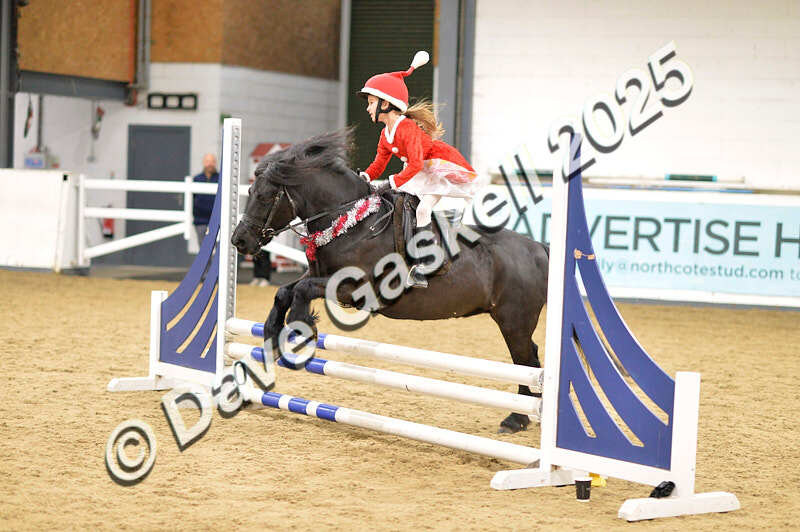 D4N_6756 - NorthcoteSat8thDec'25 XmasShowJumping AvailableUntil6thJan'26