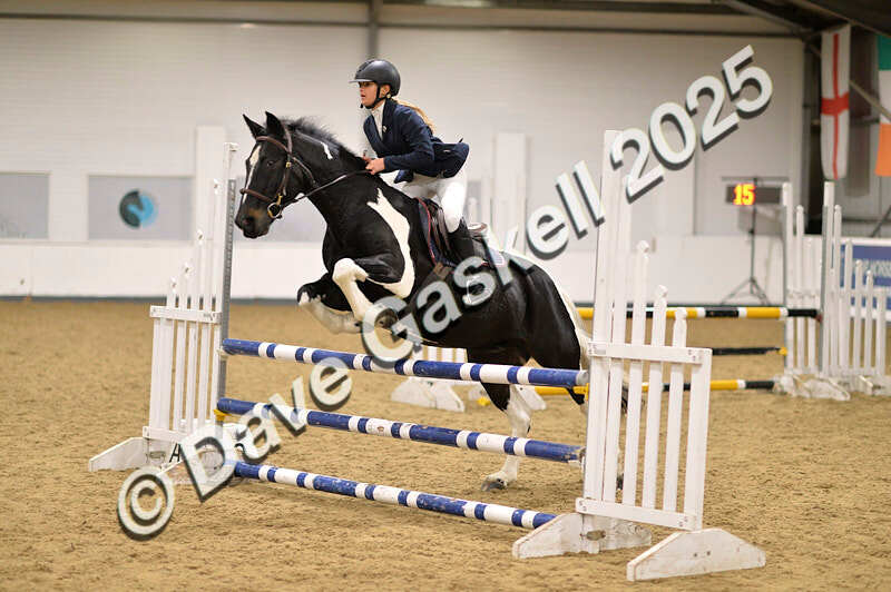 D4N_5181 - NorthcoteSun26thOct'25 Unaff.Jumping AvailableUntil28thNov'25