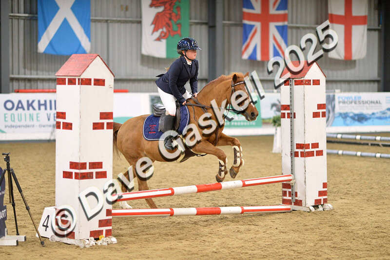 D4N_5565 - NorthcoteSun16thNov'25 Unaff.Jumping AvailableUntil16thDec'25