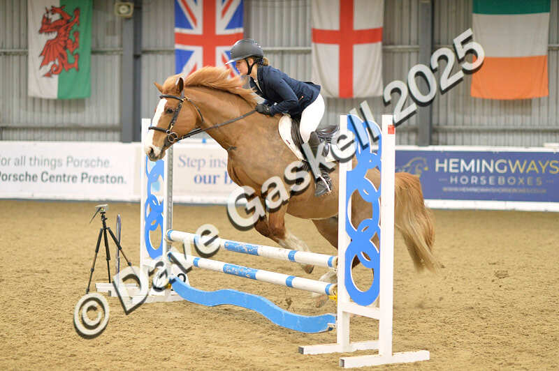 D4N_5747 - NorthcoteSun16thNov'25 Unaff.Jumping AvailableUntil16thDec'25