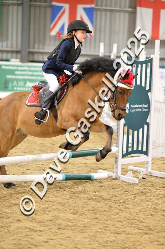 D4N_6710 - NorthcoteSat8thDec'25 XmasShowJumping AvailableUntil6thJan'26
