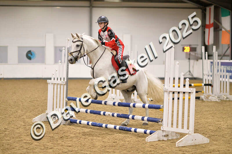 D4N_5020 - NorthcoteSun26thOct'25 Unaff.Jumping AvailableUntil28thNov'25