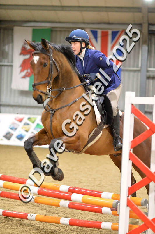 D4N_6205 - NorthcoteSun16thNov'25 Unaff.Jumping AvailableUntil16thDec'25